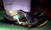 SMSS_M49.jpg (16069 bytes)